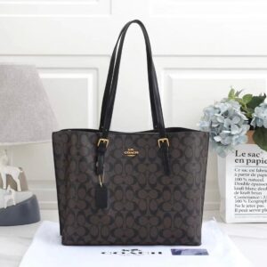 First Copy Handbag Coach Mollie Tote
